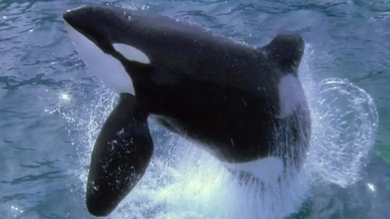 รายการไฮไลต์ทางสถานีโทรทัศน์ PPTV HD ช่อง...