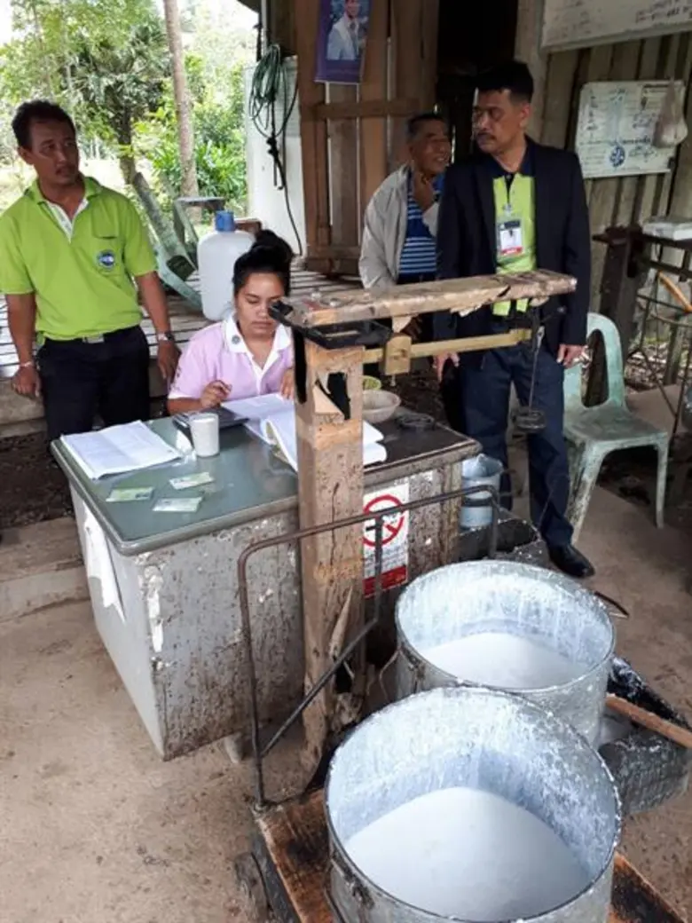 กยท. แจง โครงการส่งเสริมการใช้ยางฯ นำร่องรับซื้อแล้ว 5 จังหวัด รวม 2,000 ตัน ยัน เปิดราคารับซื้อล่วงหน้า กำหนดราคาอย่างเป็นธรรมเท่ากัน ณ หน้าโรงงานฯ