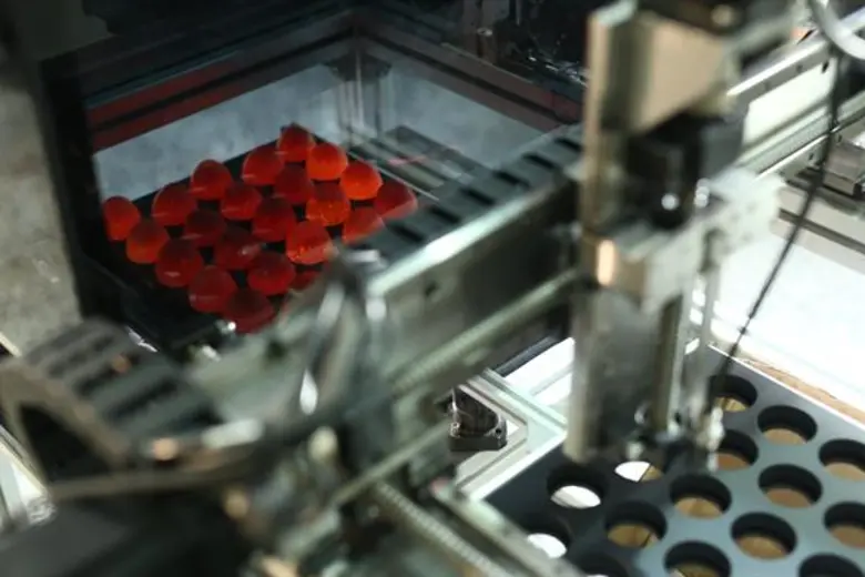 คณะวิศวกรรมศาสตร์ มหาวิทยาลัยเกษตรศาสตร์ ...