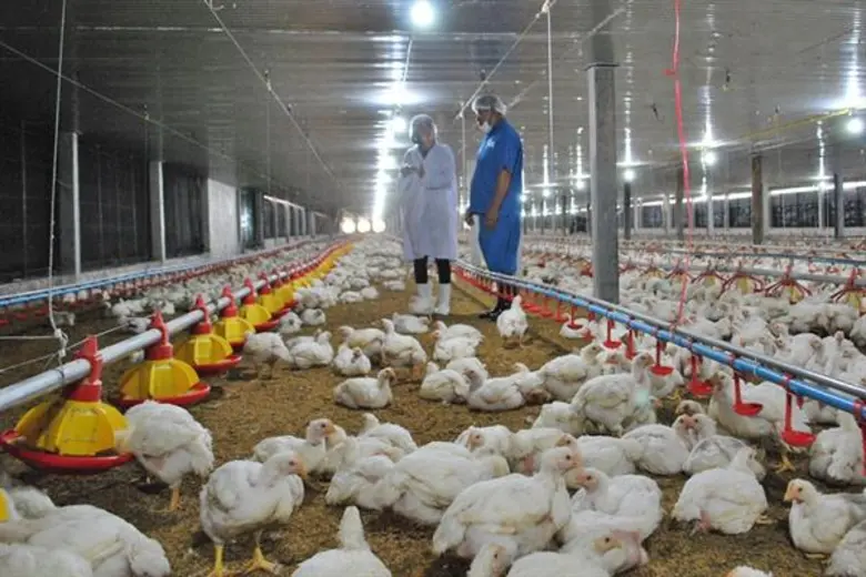 กระทรวงเกษตรและสหกรณ์ โดยกรมปศุสัตว์ เผยป...