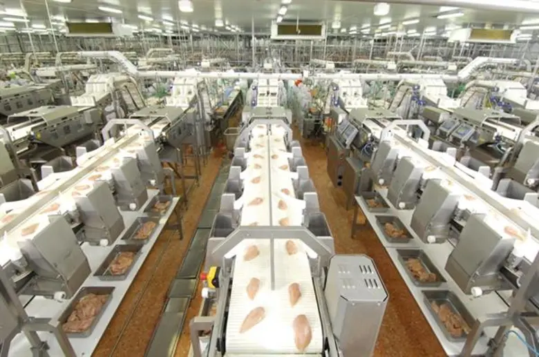 กรมปศุสัตว์ยกระดับอาหารปลอดภัยตลอดห่วงโซ่การผลิต