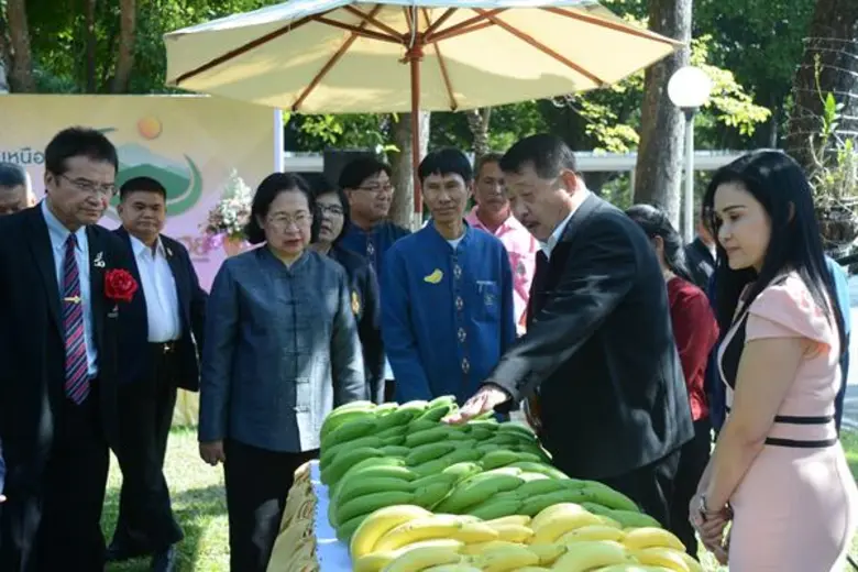 นางสาวดุจเดือน ศศะนาวิน รองปลัดกระทรวงเกษ...