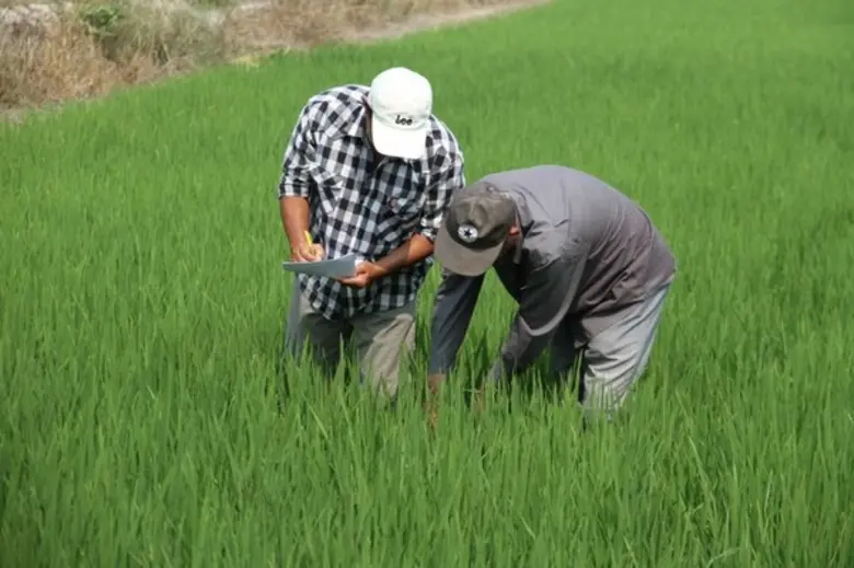 กรมส่งเสริมการเกษตรจัดตั้งศูนย์บ่มเพาะเกษ...