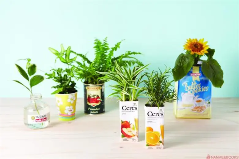 เคล็ดลับการใช้ชีวิตปลอดสารพิษ เป็นมิตรกับธรรมชาติ  เจาะแก่นไลฟ์สไตล์แนว Eco-Life อย่างแท้จริง