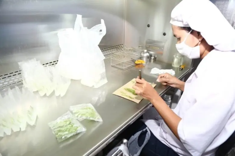 กรมส่งเสริมการเกษตร เร่งเดินหน้าจัดตั้งศูนย์ขยายพันธุ์พืช สร้างพันธุ์พืชพันธุ์ดีออกสู่ตลาด