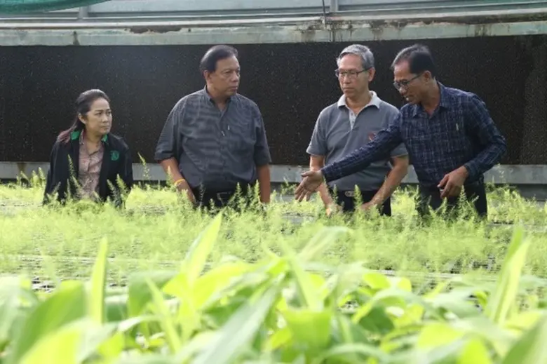 กรมส่งเสริมการเกษตร เร่งเดินหน้าจัดตั้งศูนย์ขยายพันธุ์พืช สร้างพันธุ์พืชพันธุ์ดีออกสู่ตลาด