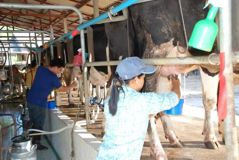 กรมส่งเสริมสหกรณ์ร่วมจัดนิทรรศการความก้าวหน้าสหกรณ์โคนมทั่วประเทศ