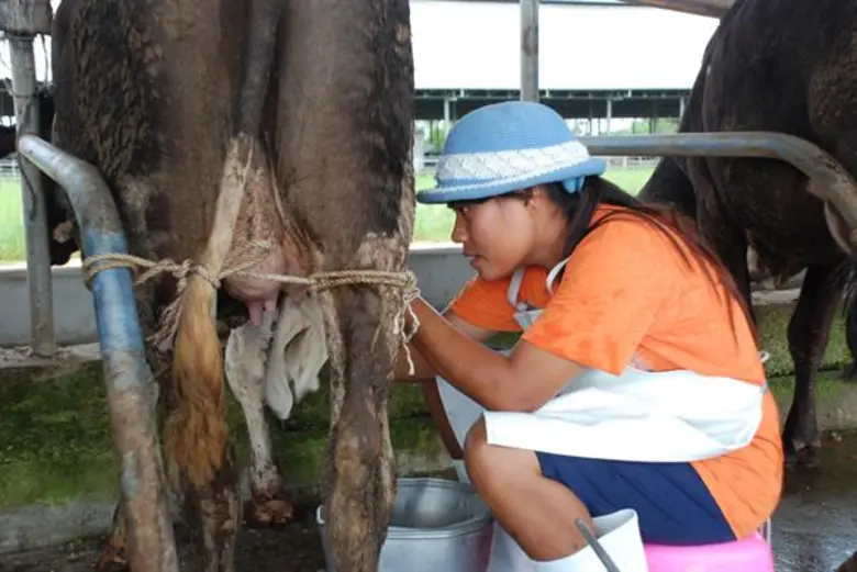 กรมส่งเสริมสหกรณ์ร่วมจัดนิทรรศการความก้าวหน้าสหกรณ์โคนมทั่วประเทศ