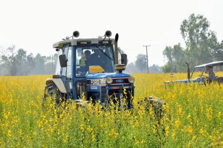 พด. แนะเกษตรกรใช้วิธีง่ายๆ ไถกลบตอซังพืชช่วยฟื้นฟูดินให้ดี