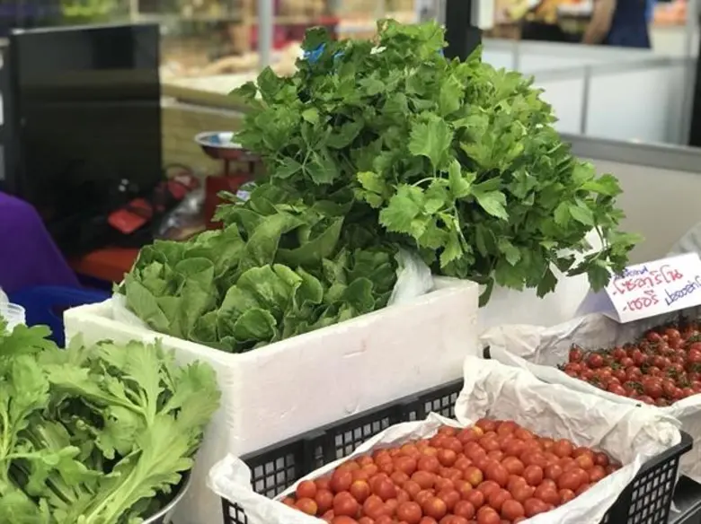 “ ตลาดสินค้าเกษตรคุณภาพ อ.ต.ก. จังหวัดนครสวรรค์ ” ระหว่างวันที่ 2-8 กุมภาพันธ์ 2561 ณ ห้างแฟรี่แลนด์ สรรพสินค้า จังหวัดนครสวรรค์