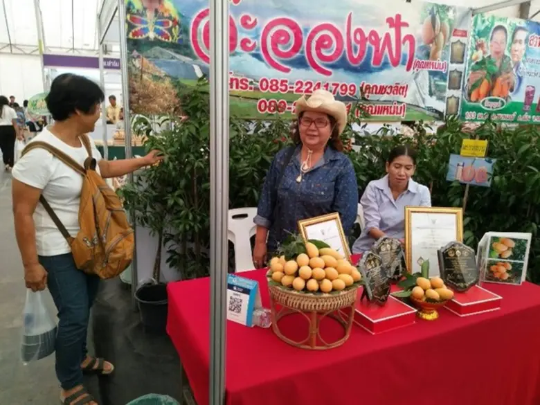 ที่บริเวณลานอเนกประสงค์บิ้กวัน 2 อ.เมือง ...