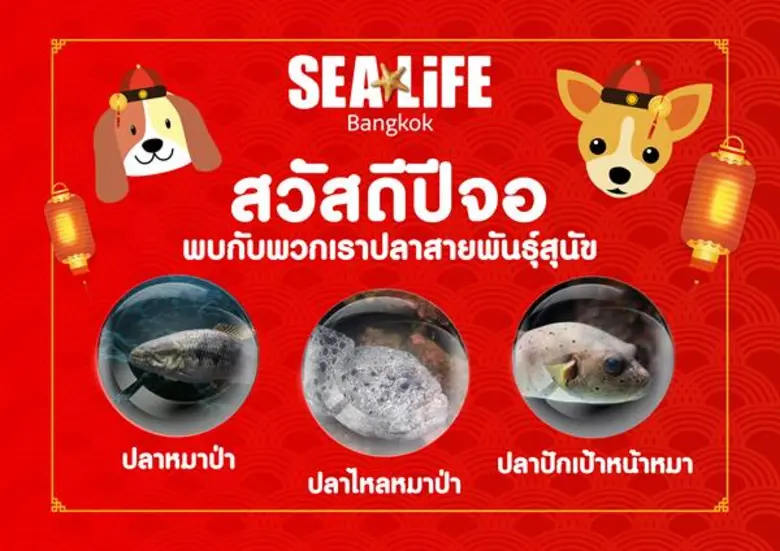 ถือเป็นปีนักษัตรที่หลายๆคนชื่นชอบ เพราะ '...