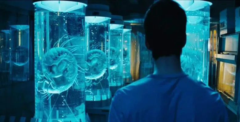 ช่อง “MONO 29” ชวนลุ้นสุดขีด แอคชั่น - ไซไฟฟอร์มยักษ์ เรื่อง “เมซ รันเนอร์” ครั้งแรกบนจอฟรีทีวีไทย