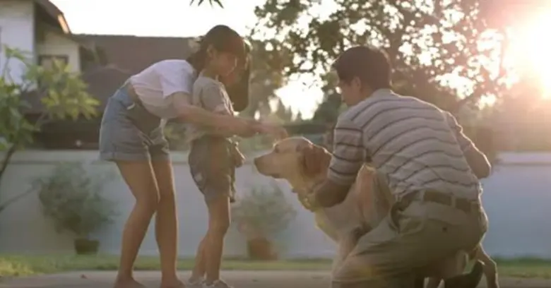 ภาพสะท้อนสังคม: หญิงไทยกว่าครึ่งประเทศยอมรับว่า “กลัวแก่”