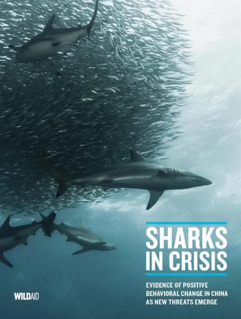 องค์กรไวลด์เอด ช่วยสัตว์ป่า (WildAid) เชิ...