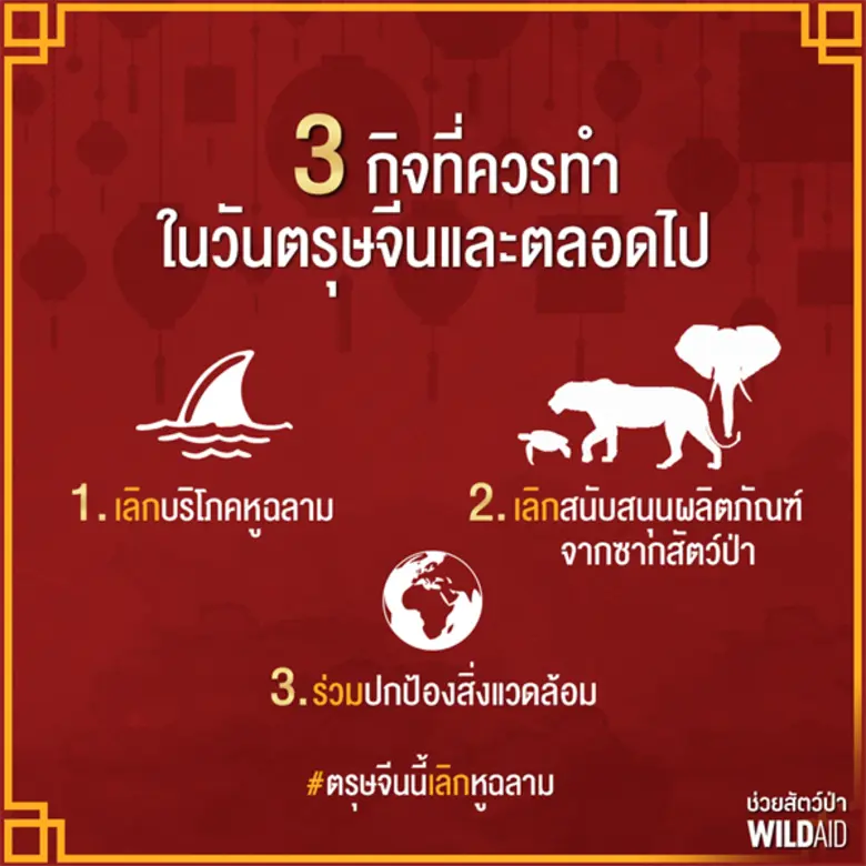 องค์กรไวล์ดเอดชวนคนไทยฉลองตรุษจีนด้วยการเลิกบริโภคหูฉลาม เผยรายงาน ไทย มาเก๊า คือภัยคุกคามฉลามแห่งใหม่