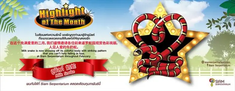 สยาม เซอร์เพนทาเรียม ศูนย์การเรียนรู้และพ...