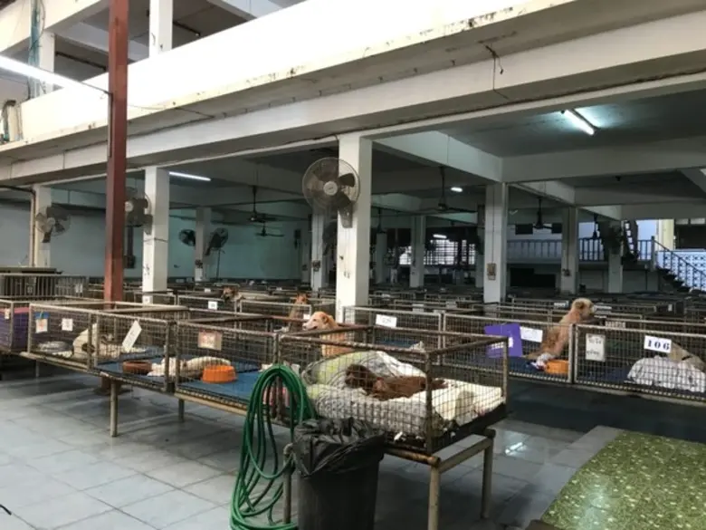 แอร์พอร์ต เรล ลิงก์ ร่วมปันน้ำใจสู่สังคม นำพนักงานมอบสิ่งของให้มูลนิธิบ้านสงเคราะห์สัตว์พิการ