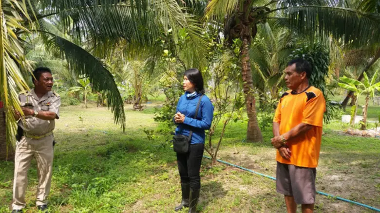 โครงการป้องกันกำจัดศัตรูมะพร้าว(หนอนหัวดำ) ด้วยวิธีผสมผสานแบบครอบคลุมพื้นที่