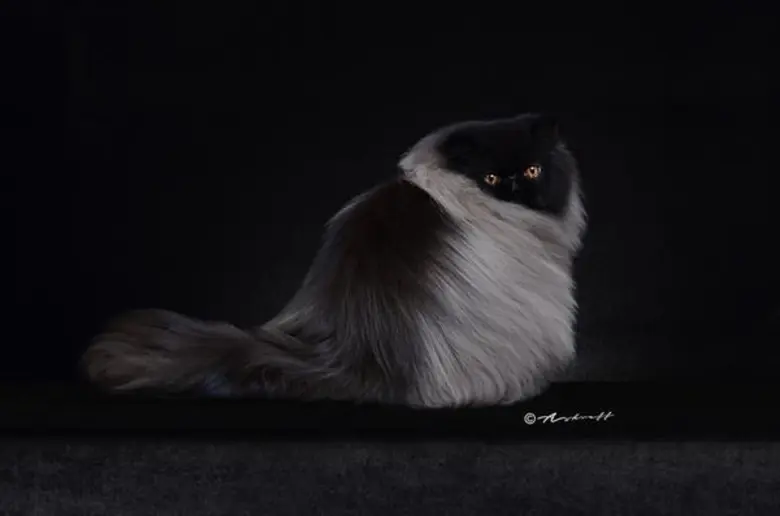 แมวสวยหลายสายพันธุ์ดีกรีรางวัลระดับโลกร่วมประกวดในงาน CFA International Asia Cat Show 2018 วันที่ 16-18 มี.ค. นี้ ที่เซ็นทรัลพลาซา ลาดพร้าว ทาสแมวไทยเตรียมต้อนรับ ในโอกาสที่สมาคมแมวโลก CFA เลือกไทยเป็นเจ้าภาพแรกในเอเชีย