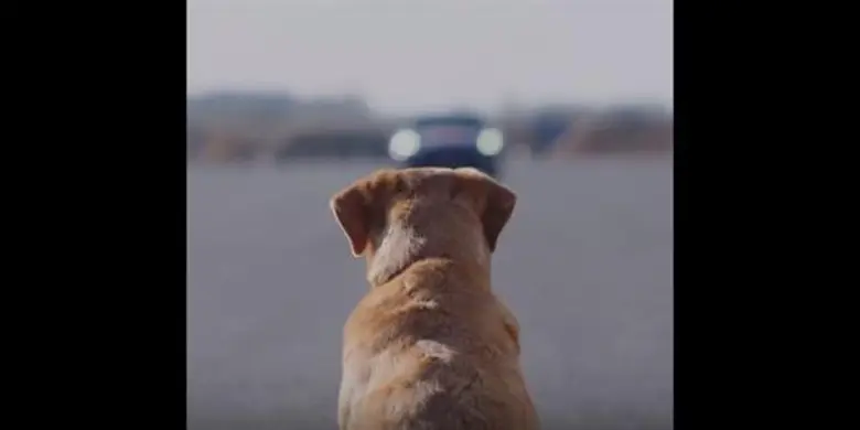 หัวเว่ย ผู้นำด้านเทคโนโลยีระดับโลก กำลังก...