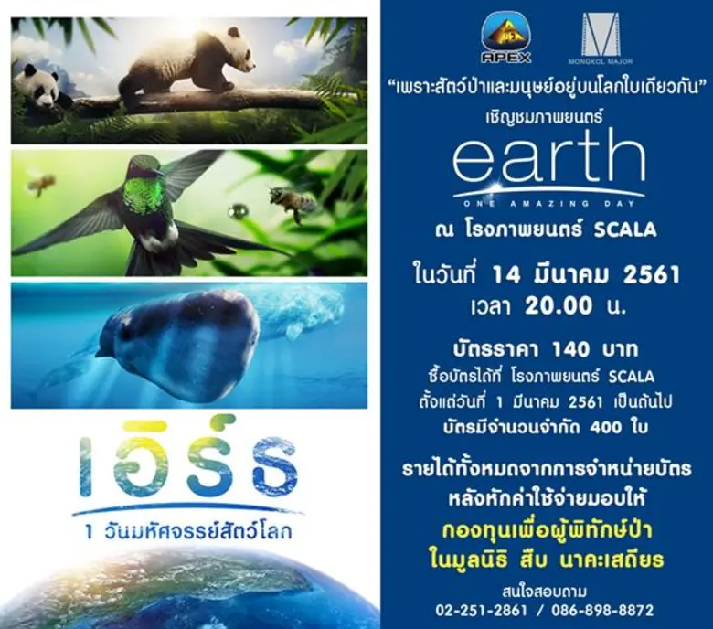 บริษัทมงคลเมเจอร์ผู้นำเข้าและจัดจำหน่ายภา...