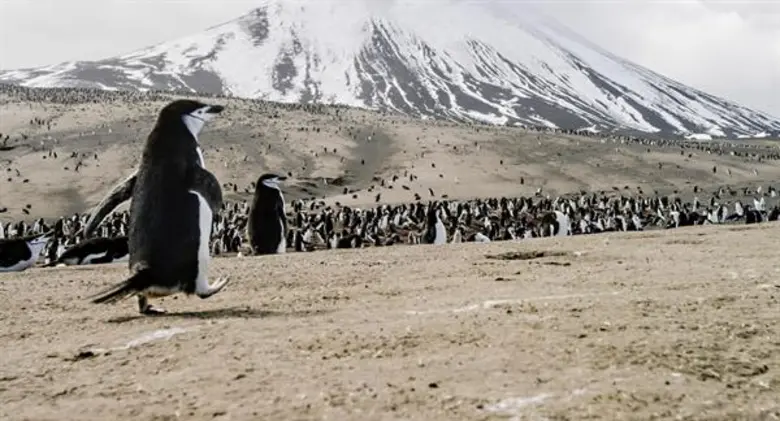 Movie Guide: “ เพราะสัตว์ป่าและมนุษย์อยู่บนโลกใบเดียวกัน  ภาพยนตร์“ EARTH : ONE AMAZING DAY “ เอิร์ธ 1 วันมหัศจรรย์สัตว์โลก ปลุกกระแสอนุรักษ์สัตว์ จัดฉายรอบการกุศล รายได้มอบให้กองทุนเพื่อผู้พิทักษ์ป่า มูลนิธิ สืบนาคะเสถียร