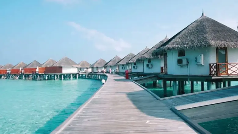 ว่านไฉ อคิร วงษ์เซ็ง ศิลปิน / นักร้อง / โ...