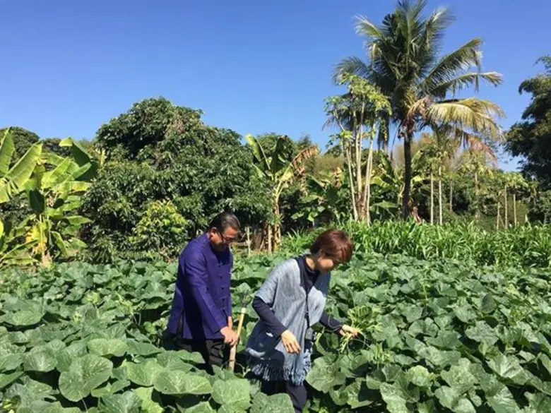 สุขอย่างพอเพียง ณ บ้านไร่กองขิง ใน หนองโพ ๙ ตามพระราชปณิธาน สานต่ออาชีพที่พ่อให้