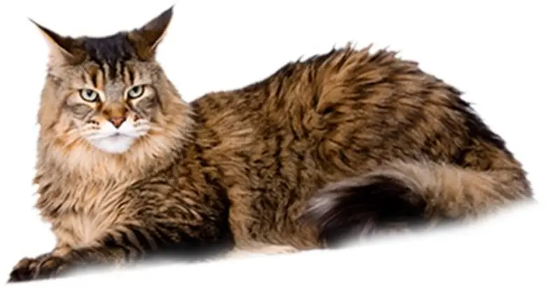 "ซีคอน บางแค" ต้อนรับปิดเทอมใหญ่ จัดงาน "...