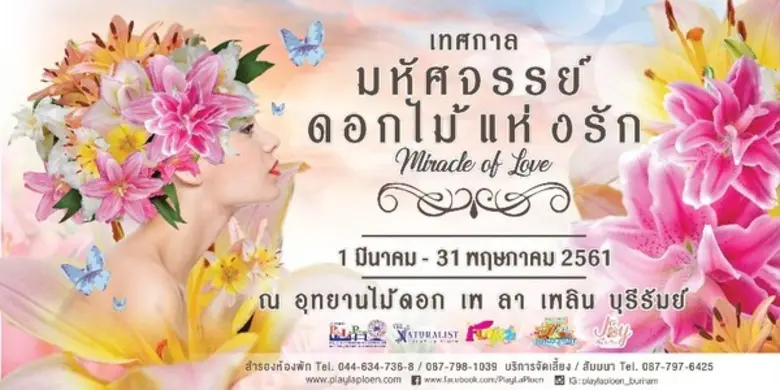 เพ ลา เพลิน บุรีรัมย์ ท้าฤดูร้อนจัดดอกลิล...