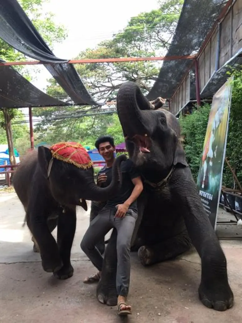 "มังกร” วอน “รักช้าง อย่าฆ่าช้าง” เนื่องในวันช้างไทย