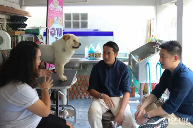 ทีวีไกด์: รายการ "เปอร์สเปกทิฟ" แชร์วิธีคิดทำธุรกิจให้ปัง! ผ่านมุมมอง นักการตลาดมืออาชีพ “วี-สืบศักดิ์ ลิ่วลักษณ์”