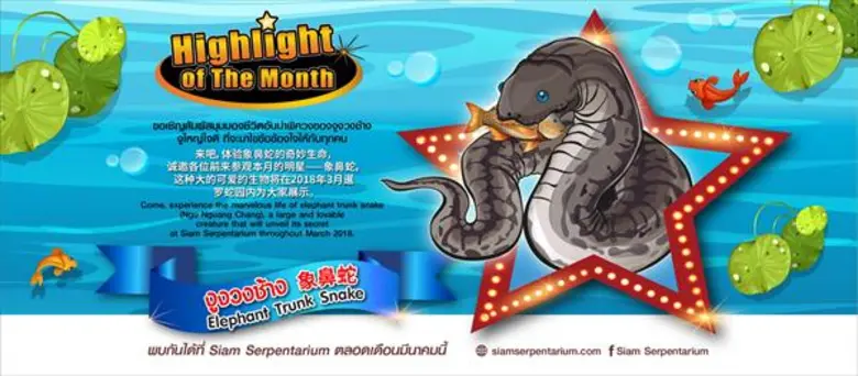 สยาม เซอร์เพนทาเรียม ศูนย์การเรียนรู้และพ...