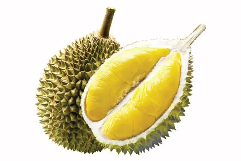 ศูนย์การค้า ธัญญาพาร์ค ศรีนครินทร์ ร่วมส่...