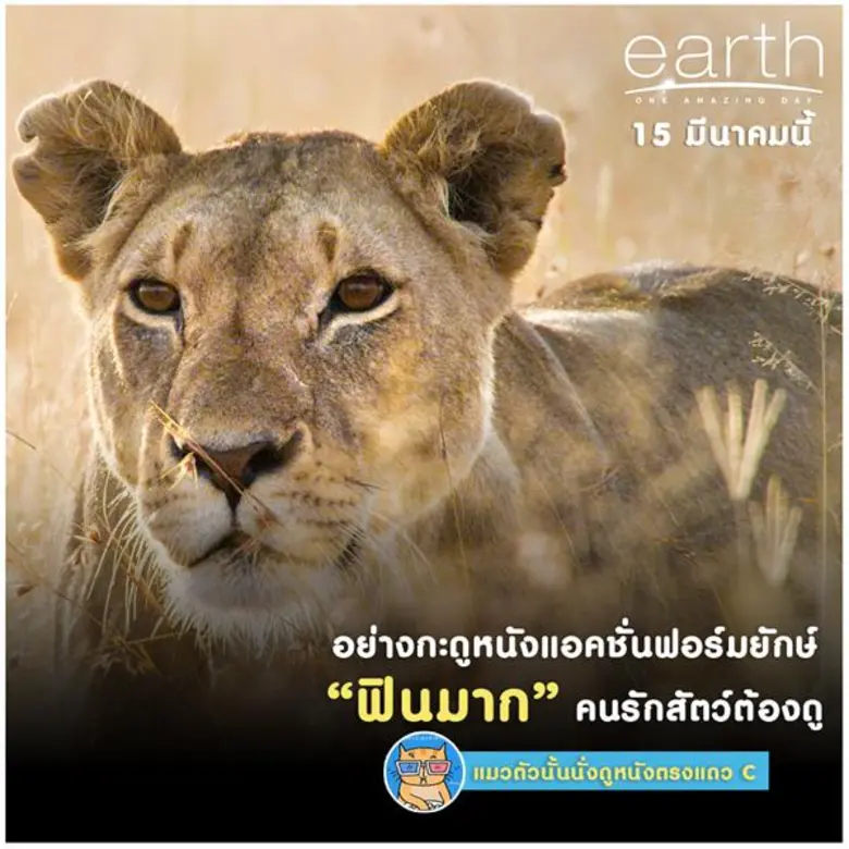 earth : One Amazing Day เอิร์ธ 1 วันมหัศจ...