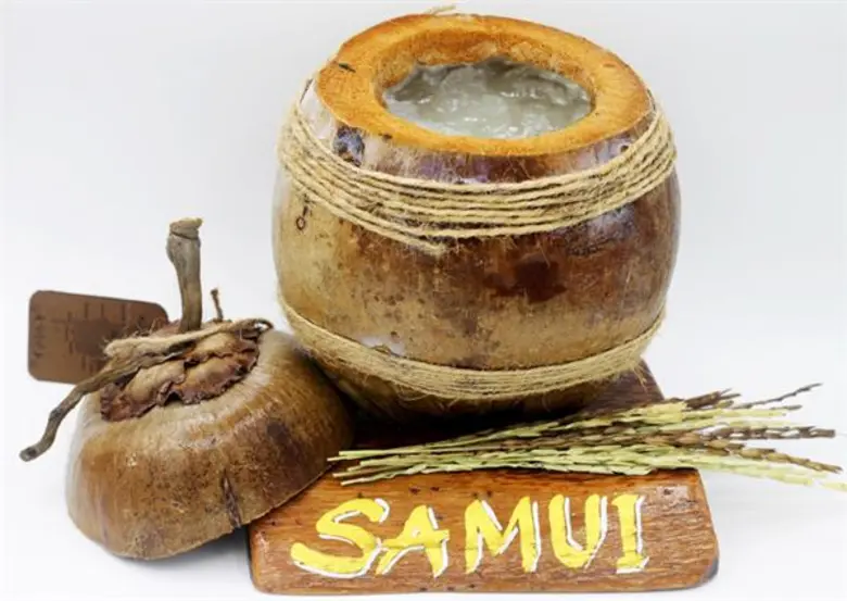 ศูนย์การค้าเซ็นทรัลเฟสติวัล สมุย ร่วมกับ ...