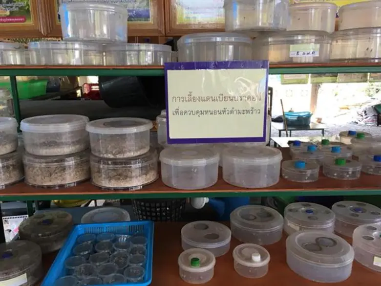 รองอธิบดีกรมส่งเสริมสหกรณ์ลงพื้นที่ตรวจเยี่ยมสหกรณ์การเกษตรผู้ปลูกมะพร้าวน้ำหอมแปลงใหญ่วัดเพลง จำกัด พร้อมหนุนให้สหกรณ์ใช้ตลาดนำการผลิต