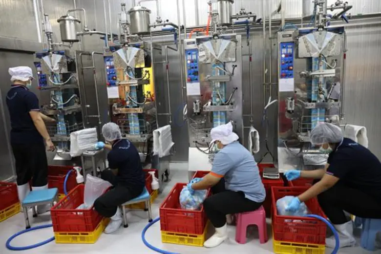 นมโคเป็นอาหารที่ช่วยบำรุงสุขภาพให้กับทั้ง...