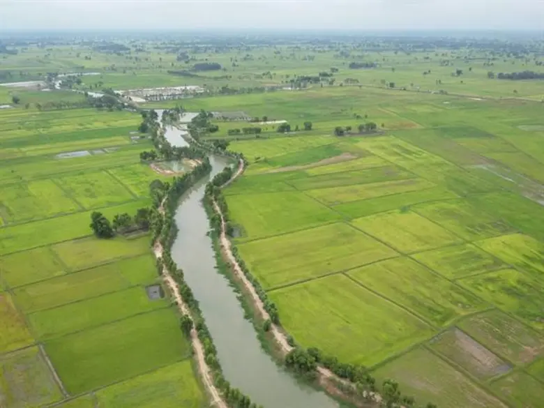 ทุ่งกุลาร้องไห้พ้นความเสียหาย หลังได้รับฝนหลวงช่วยเหลืออย่างต่อเนื่อง