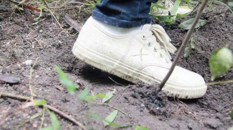 Breaker X จัดกิจกรรมปลูกป่า คืนกำไรให้สังคม ฟื้นฟูระบบนิเวศ เขตรักษาพันธุ์สัตว์ป่าเขาเขียวเขาชมภู่ อย่างยั่งยืน