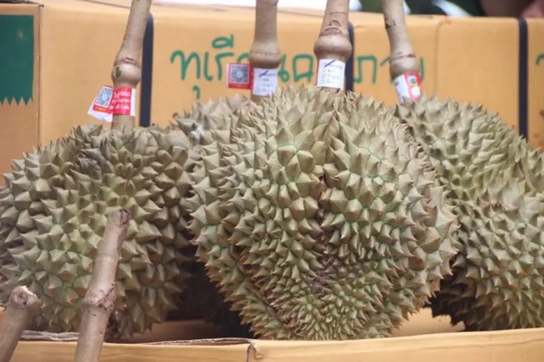 นำสื่อมวลชนเยี่ยมชม งานส่งเสริมและพัฒนาการเกษตรจังหวัดระยอง