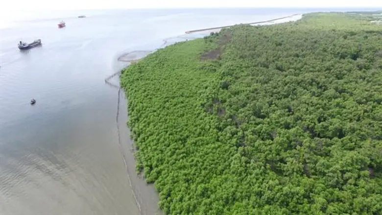 บริษัท เจริญโภคภัณฑ์อาหาร จำกัด (มหาชน) ห...