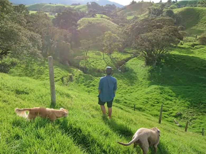 ทีวีไกด์: รายการ "เถื่อน Travel Season2" “สิงห์ วรรณสิงห์” สุดตะลึง! “แม่น้ำที่สวยที่สุดในโลก” ณ โคลอมเบีย