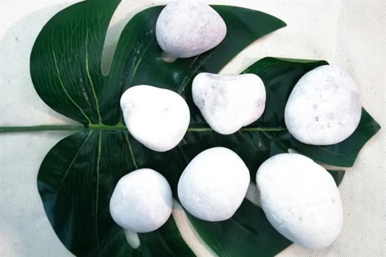 ใครจะคิดว่าก้อนหินธรรมดาที่ปกติใช้ตกแต่งส...