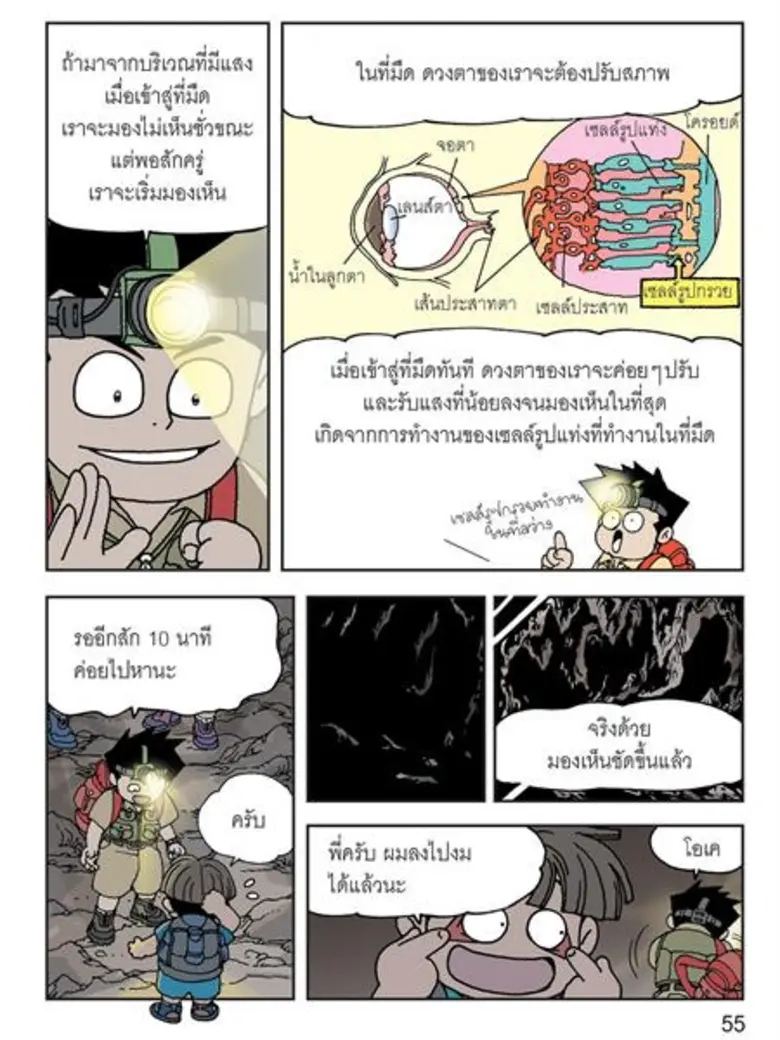 จากเหตุการณ์น้องๆ นักฟุตบอลและโค้ชทีมหมูป...