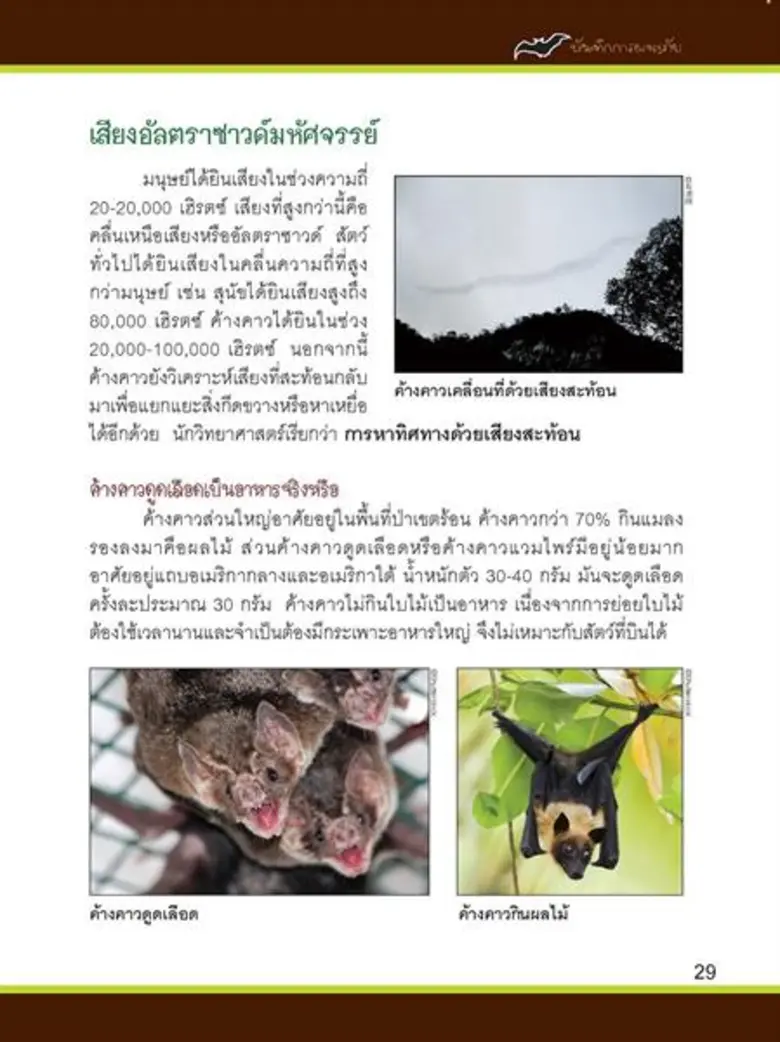 เมื่อเด็ก ๆ หลุดเข้าไปในถ้ำลึกจะหาทางออกมาได้อย่างไร? หนังสือความรู้วิทยาศาสตร์ “เอาชีวิตรอดในถ้ำลึก” ฉบับการ์ตูนมีคำตอบ