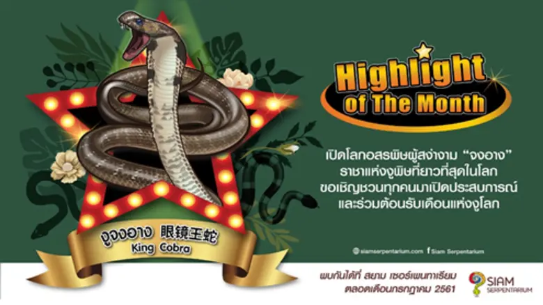 สยาม เซอร์เพนทาเรียม ศูนย์การเรียนรู้ชีวิ...