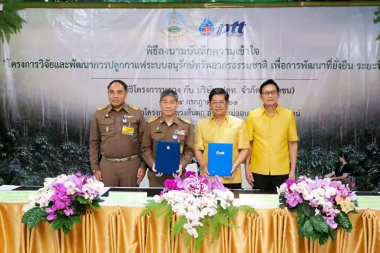 สนับสนุนการใช้เมล็ดกาแฟภายในประเทศและการผ...