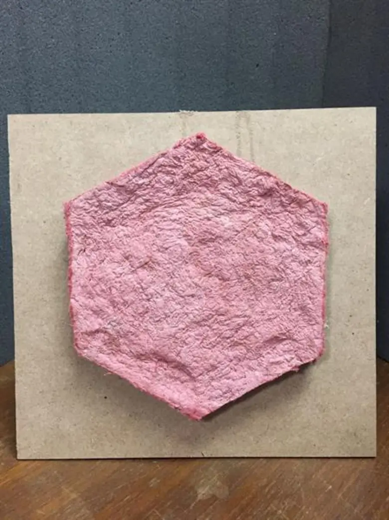 นวัตกรรม “แผ่นอะคูสติกจากผักตบชวา” สร้างมูลค่าเพิ่มจากวัชพืช ลดปัญหาเสียงก้องและสิ่งแวดล้อม